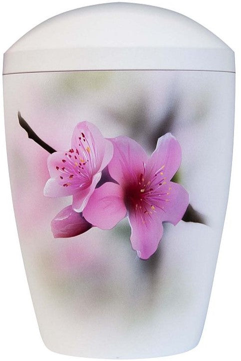 Bio-Urne, cremeweiss, Kirschblüte