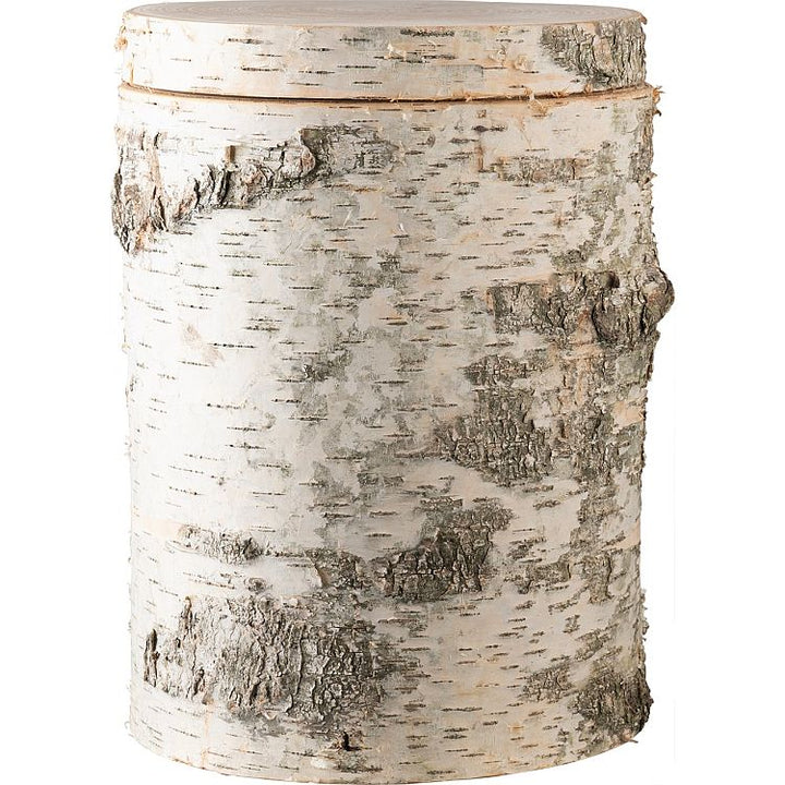 Holzurne Baumstamm Birke