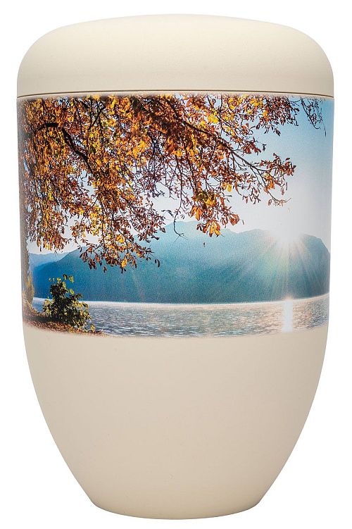 Urne online kaufen, große Auswahl, kostenloser Versand, mit Beratung ...