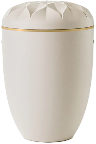 Bio-Urne cremeweiss, Apfelblüte