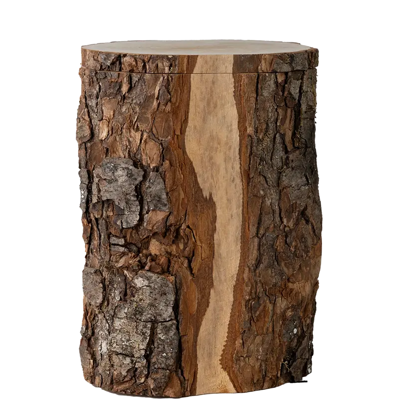 Naturbelassene Baumstamm-Urne mit Rinde und Deckel aus einer Baumscheibe